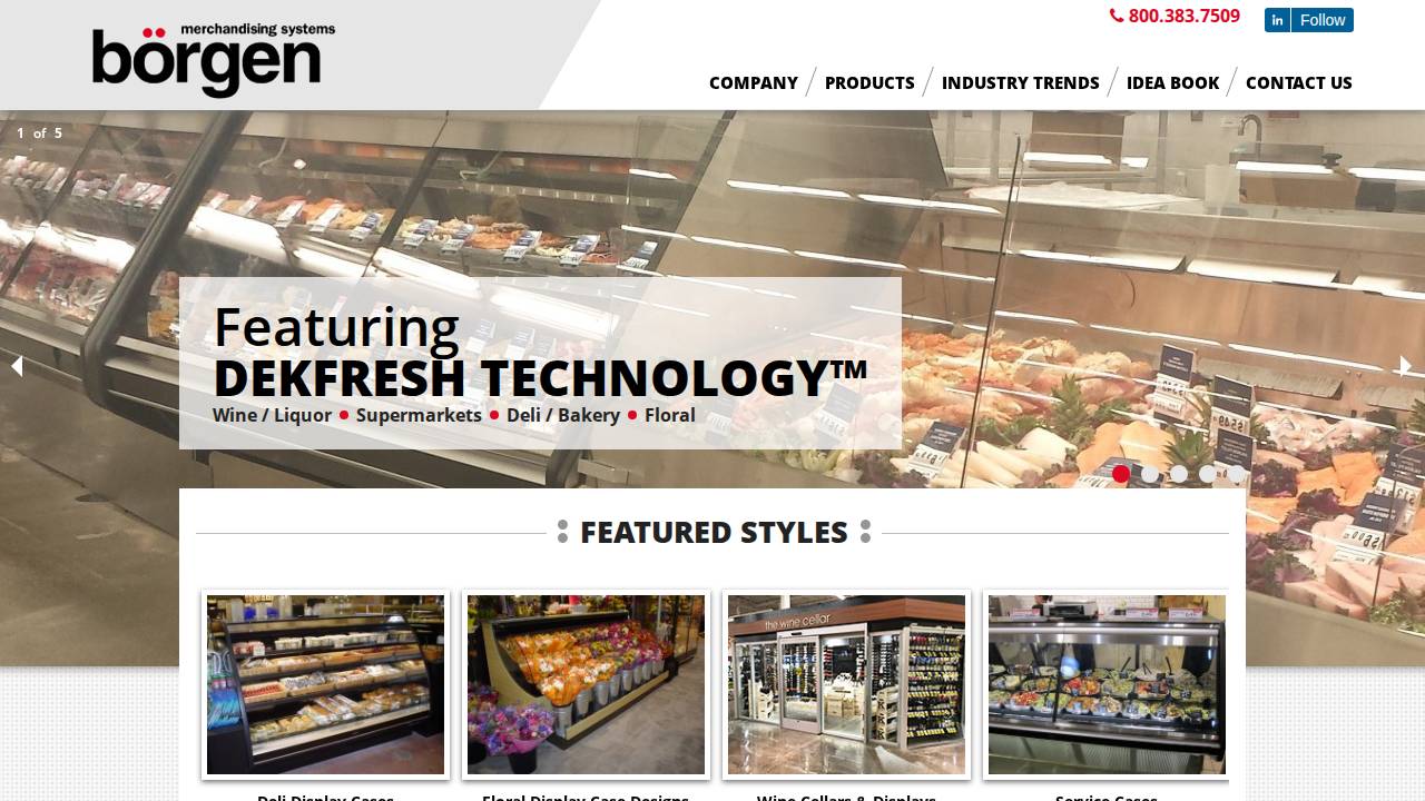 Borgen Systems Corporation website screenshot