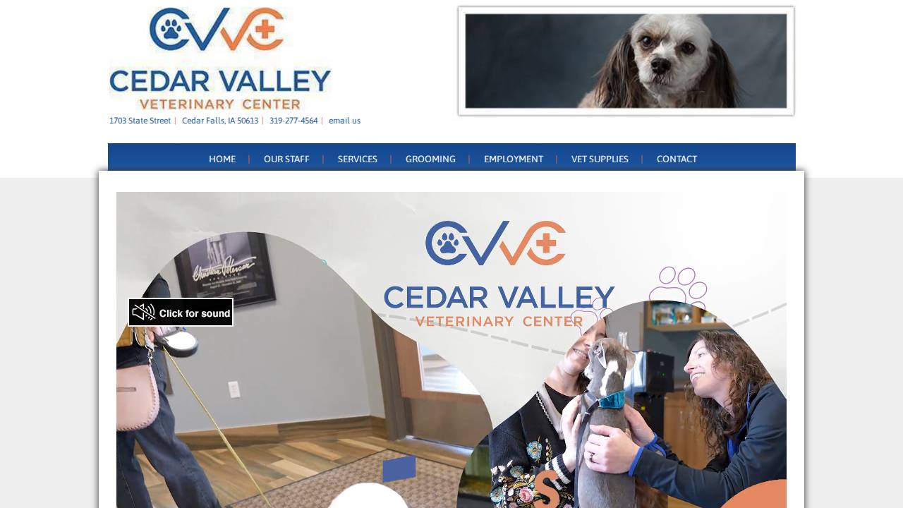 Cedar Valley Veterinary Center P C website screenshot