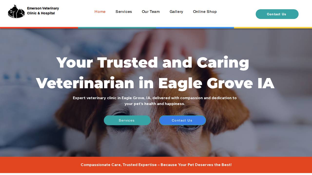 Emerson Veterinary Clinic & Sales, Hospital PC website screenshot