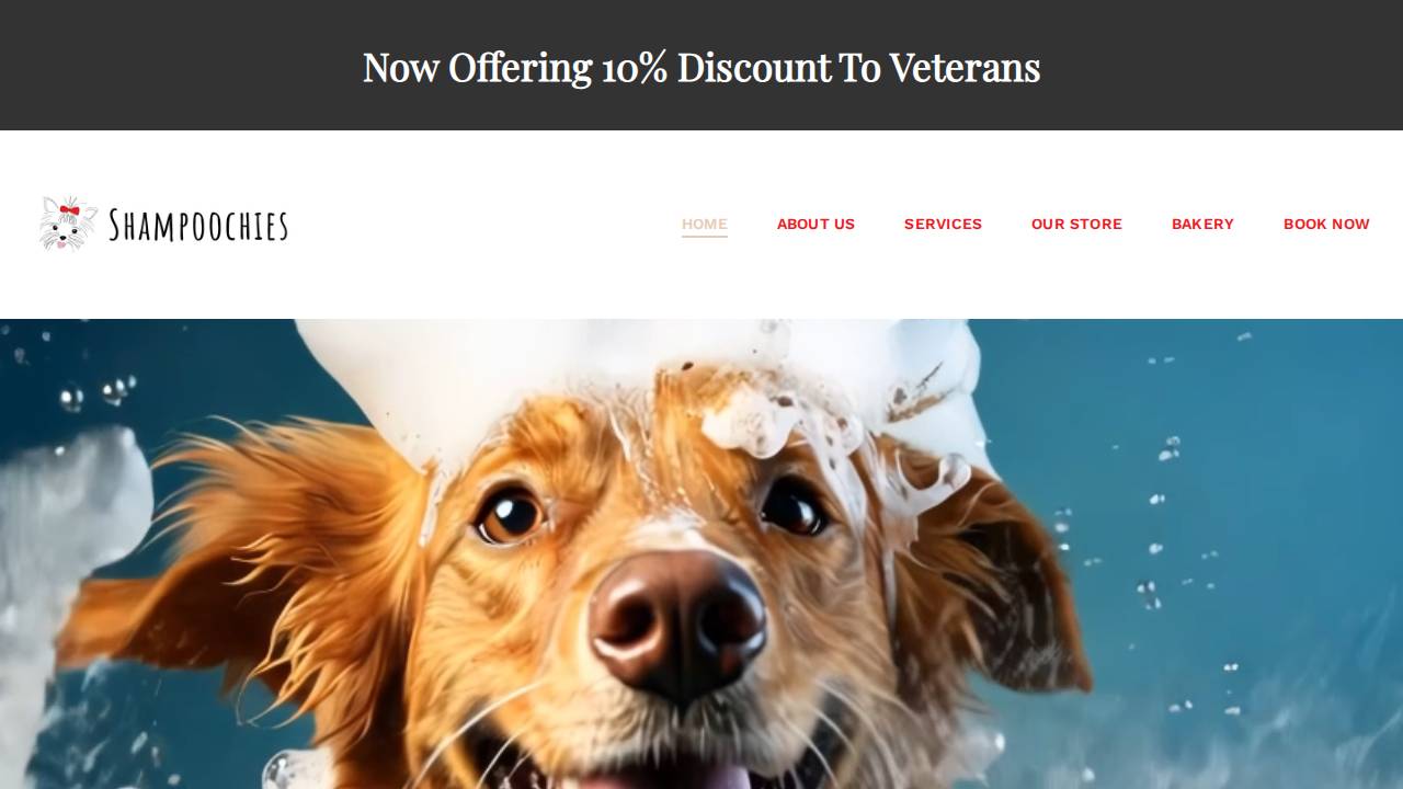 Shampoochies website screenshot