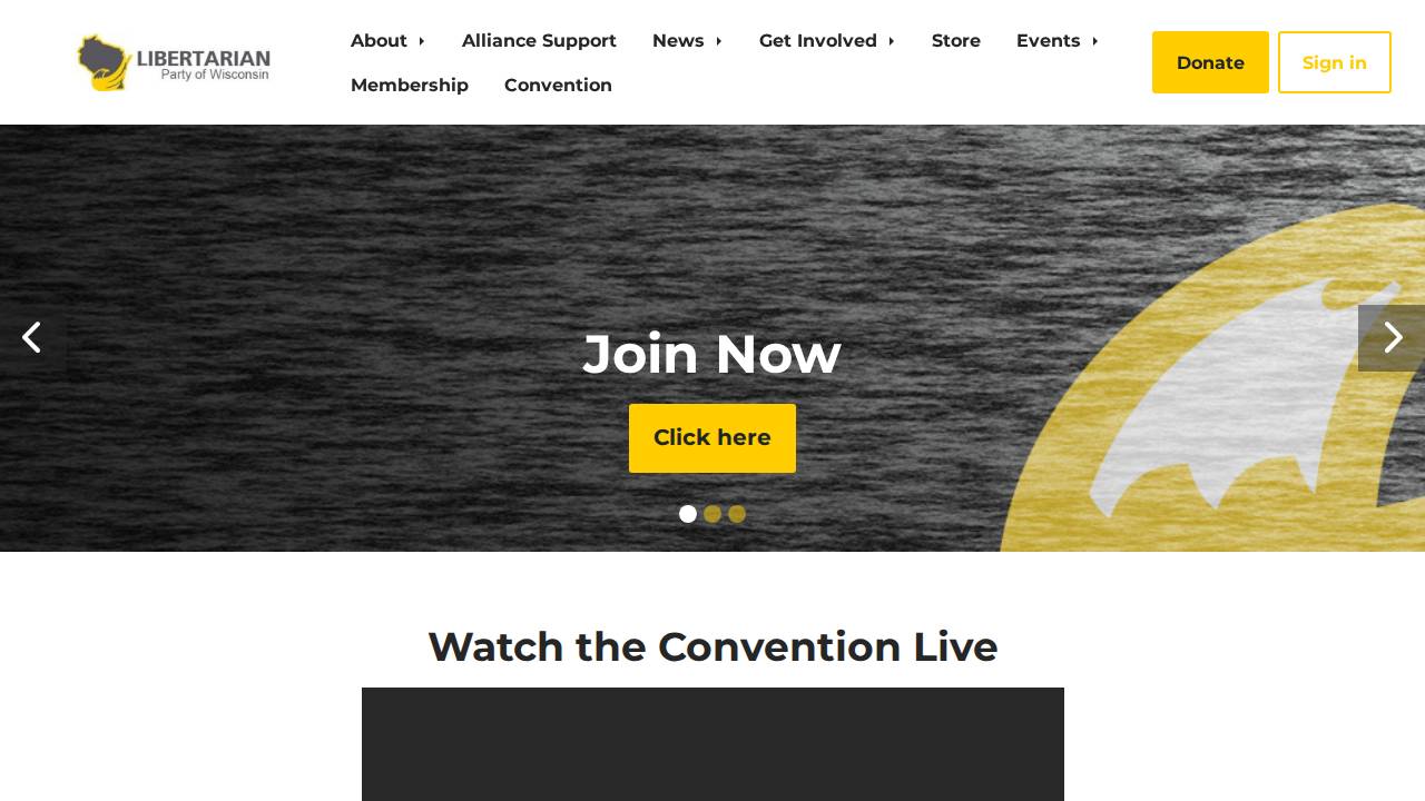 L-p-w-i INC website screenshot