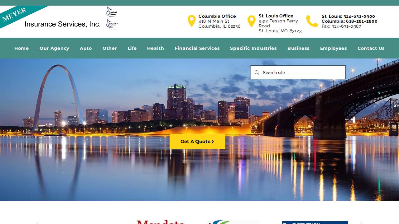 Tyrone C Meyer website screenshot