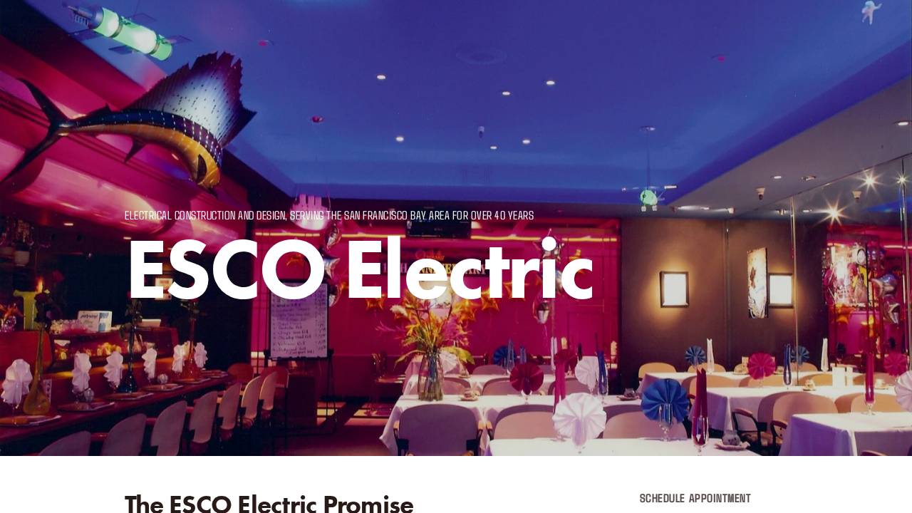 Esco Electric Company website screenshot