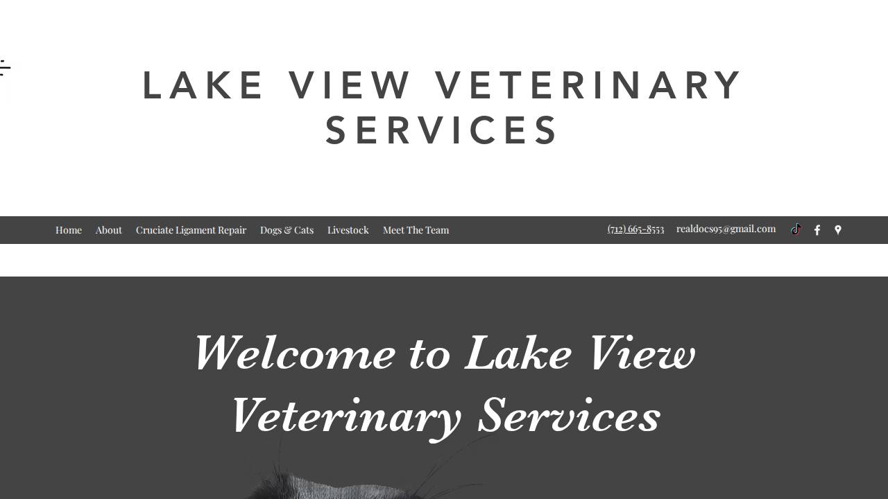 Breda Lake View Veterinary Services website screenshot