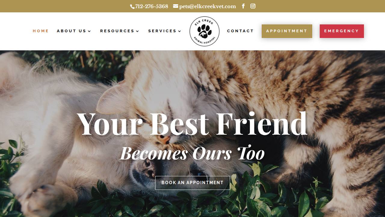 B4 Petcare Inc website screenshot