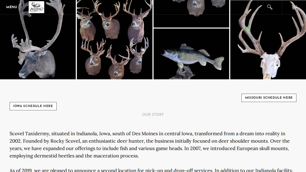 "get Mounted"@wink's Taxidermy" website screenshot
