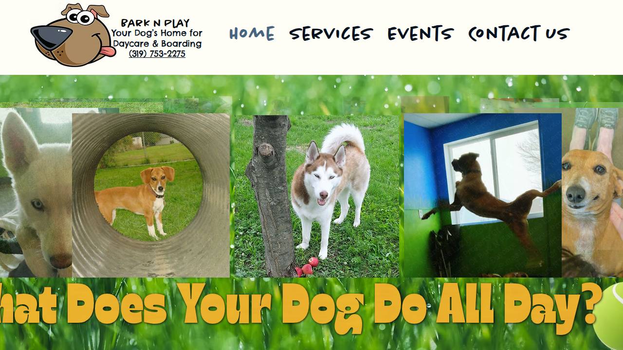 Bark AND Play Daycare AND Suites Llc website screenshot