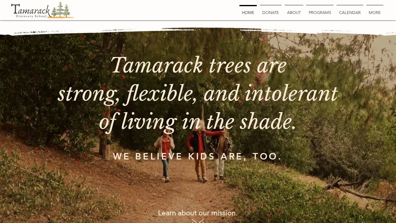 Tamarack Discovery School website screenshot