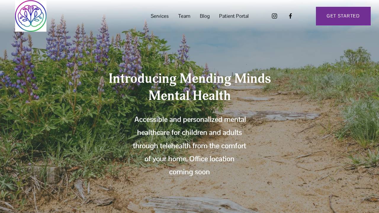 Mending Minds Mental Health LLC website screenshot