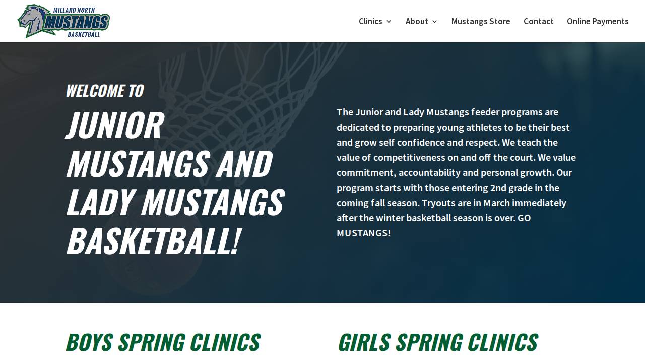 Mustang Youth Sports website screenshot