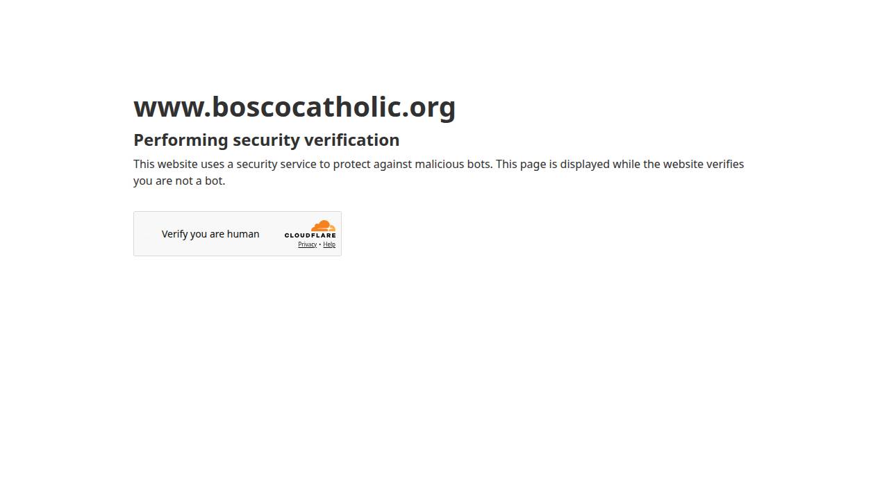 Bosco Catholic Preschool website screenshot