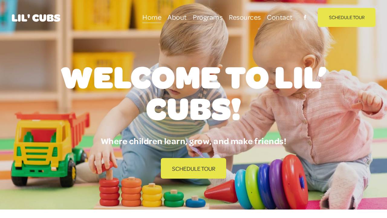 Lil' Cubs website screenshot