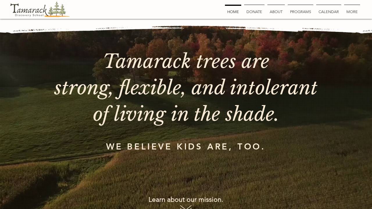 Tamarack Discovery School website screenshot