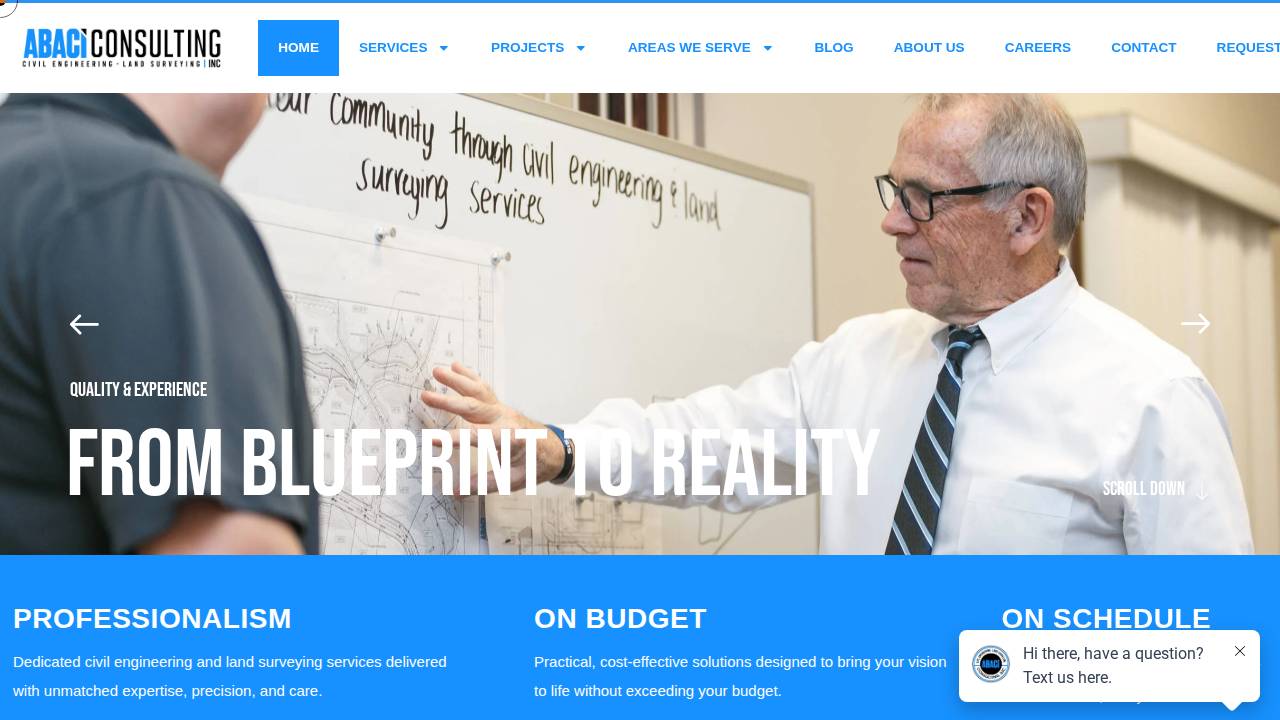 Abaci Consulting, Inc. website screenshot